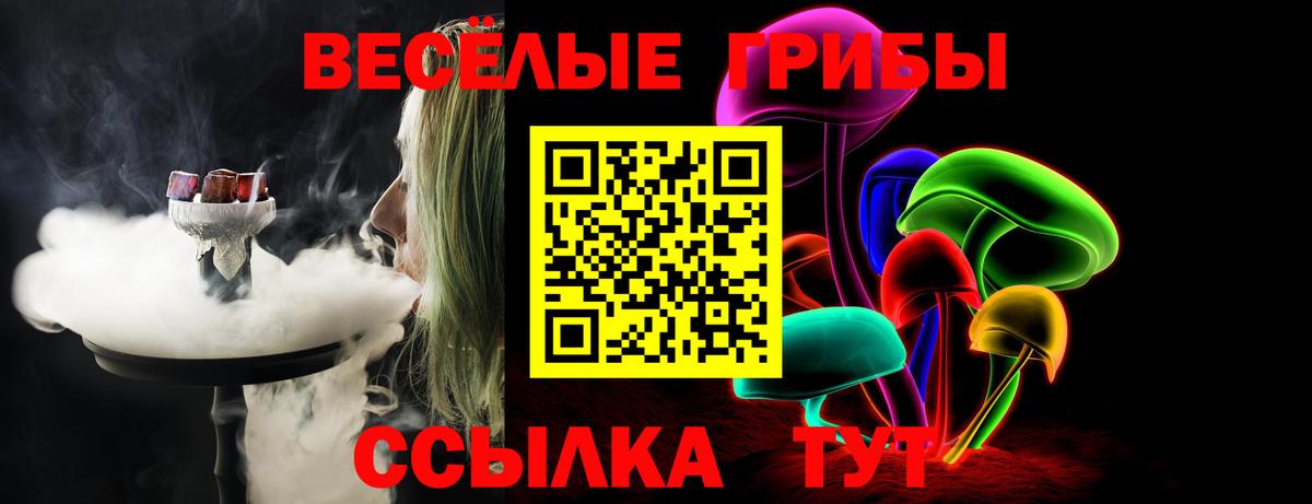 Красноярск  Псилоцибиновые грибы MAGIC MUSHROOMS  Вход с VPN 